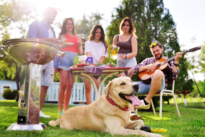 De Risico's van Barbecueën voor Honden