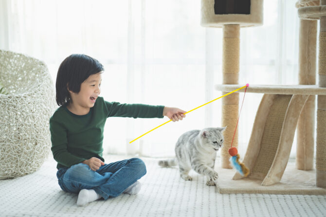 Een kat-vriendelijke woning?