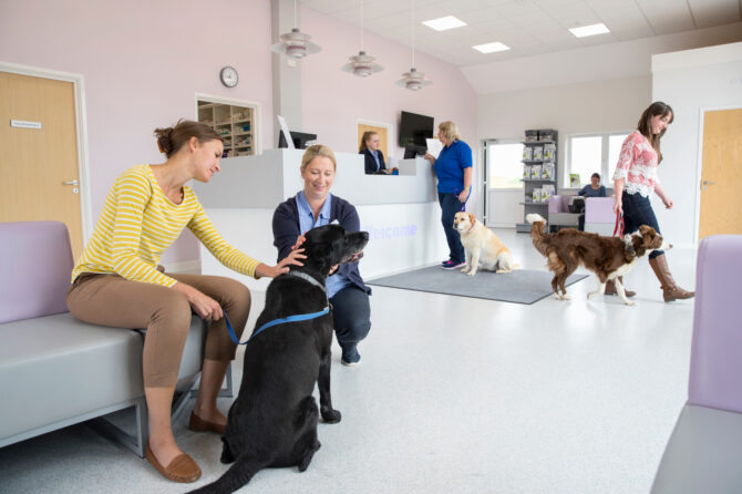 Het verschil tussen een dierenkliniek en een dierenartsenpraktijk.