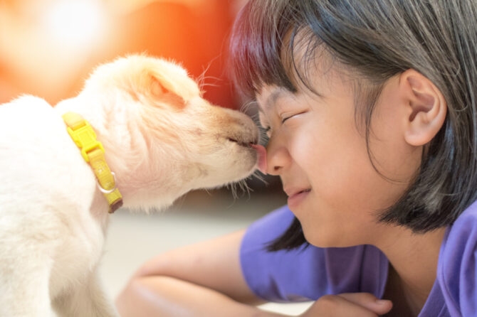 Kan je ziek worden van je hond of kat?