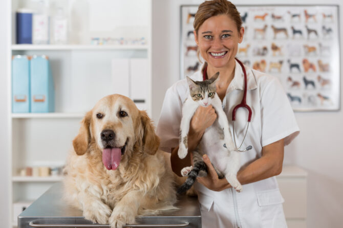 De Top 5 Gezondheidsproblemen voor Honden en Katten in 2023